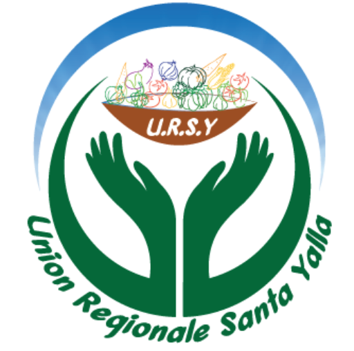 Logo URSY